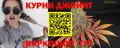 apvp Моздок