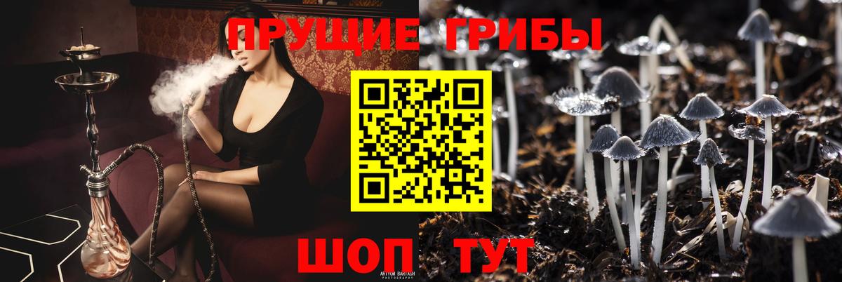 Псилоцибиновые грибы мухоморы Тихвин